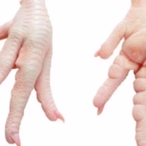 Frozen Chicken Paws